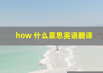 how 什么意思英语翻译